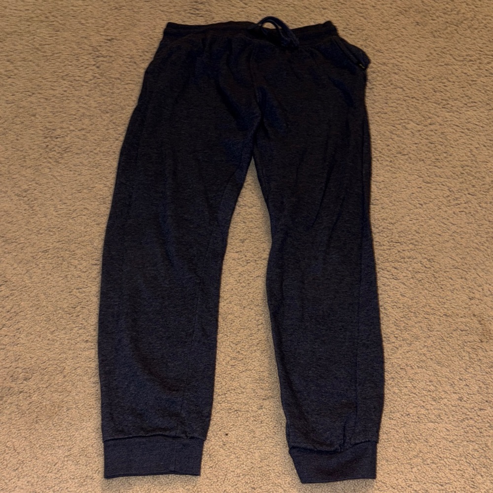 Joe's Jeans Navy Blue Joggers